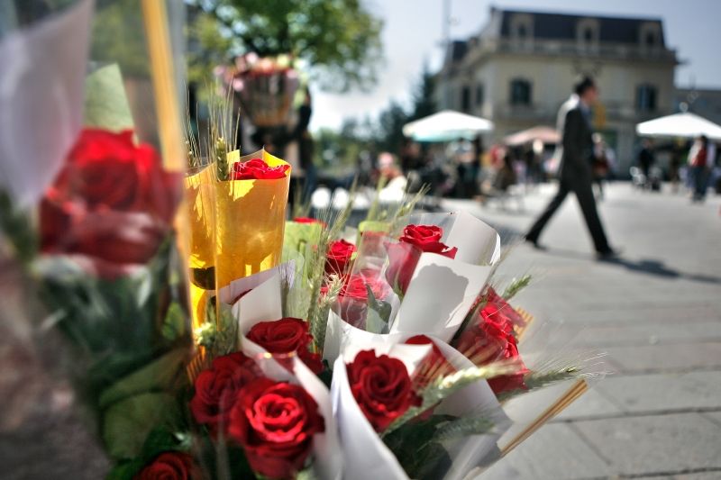 La rosa més venuda serà la vermella  FOTO: Artur Ribera