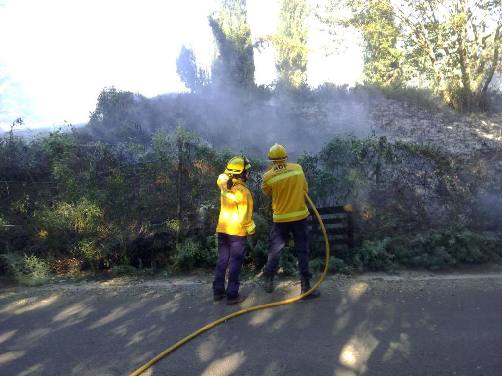 Van intervenir dues dotacions d'ADF i una de Bombers. FOTO: @gieadfscv