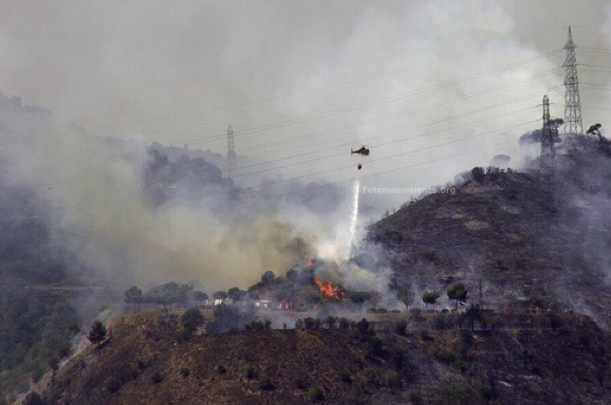 L'any passat van cremar 18 hectàrees en un incendi a Collserola que no va afectar el terme municipal de Sant Cugat FOTO: @fotomovimiento/Tono Carbajo 