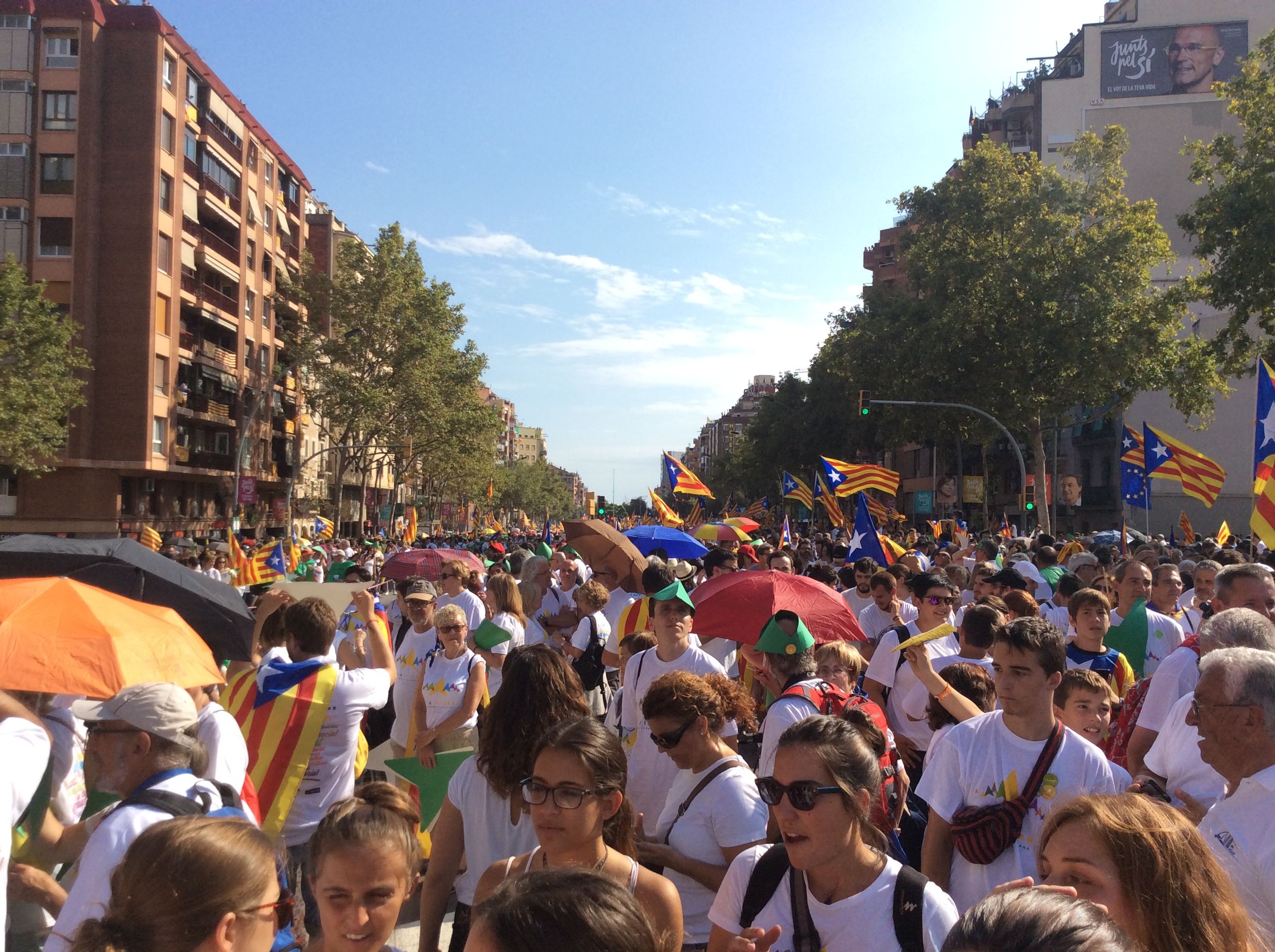 Al tram 68 de la Via Lliure. FOTO: Cinta Caballé