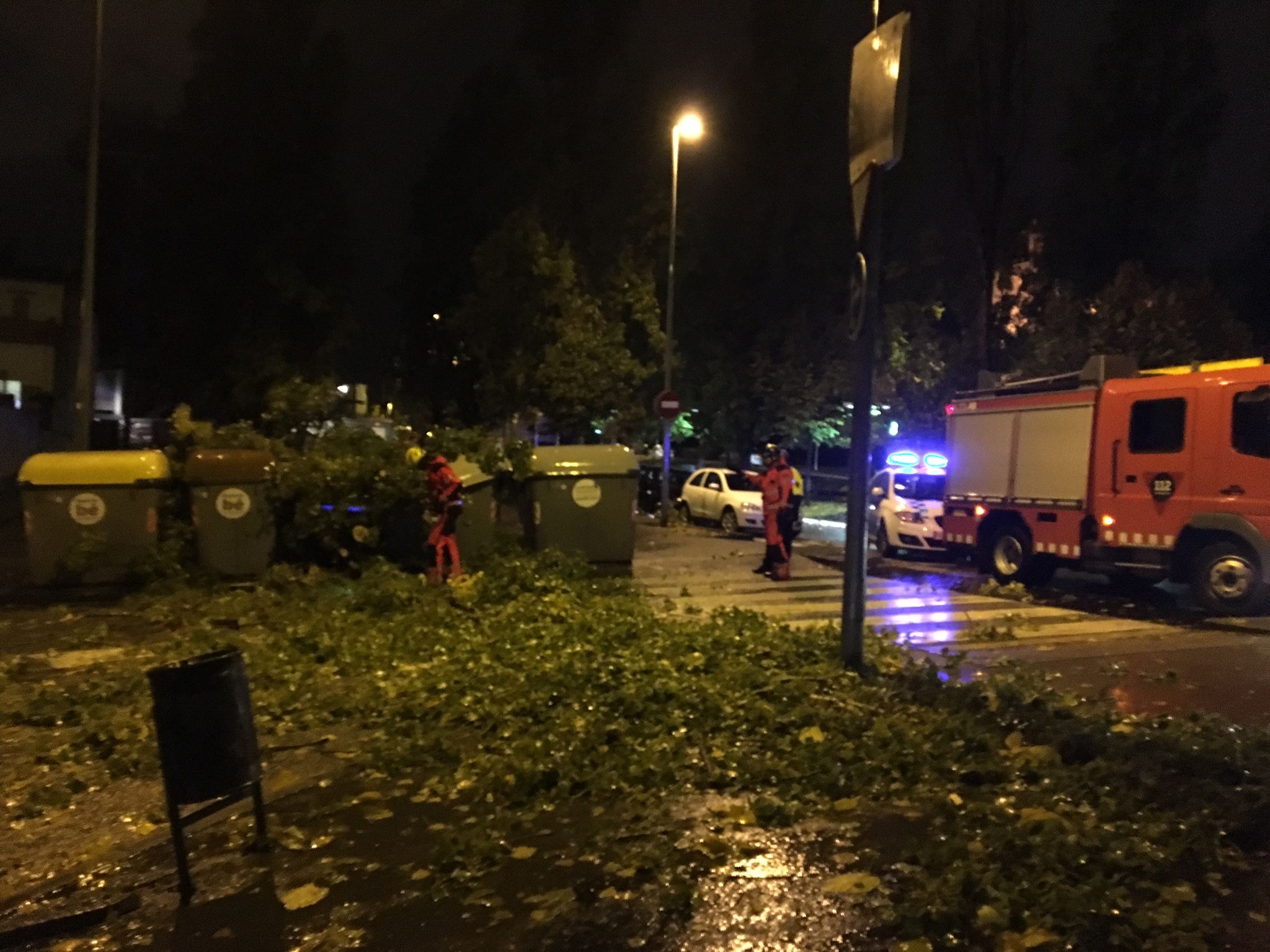 Els Bombers treballant en la retirada de l'arbre caigut a Coll Favà. FOTO: Carlos Rodríguez  