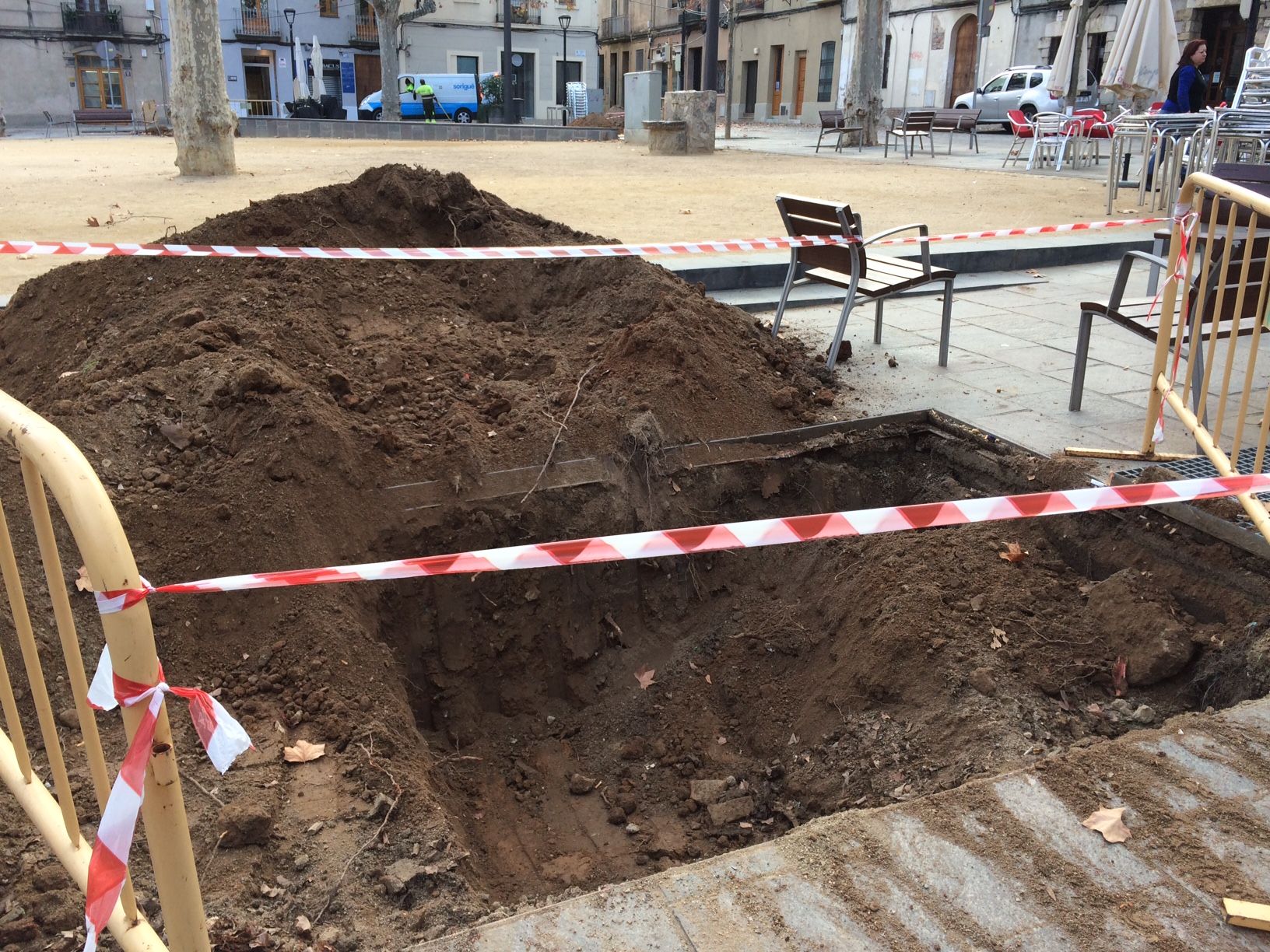 Un des quatre escales prepats per robre un plàtan. FOTO: M: Sagalés