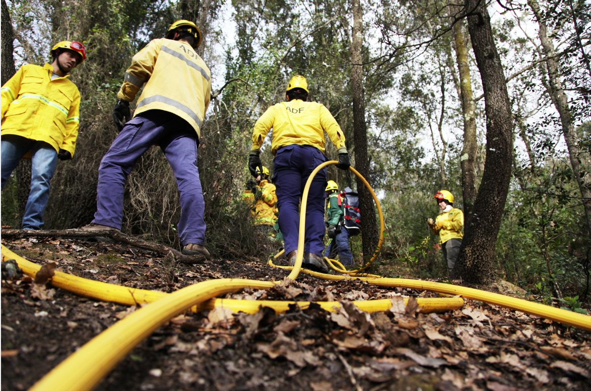 L'ADF fa simulacres per preparar-se contra els incendis. FOTO: Lali Puig