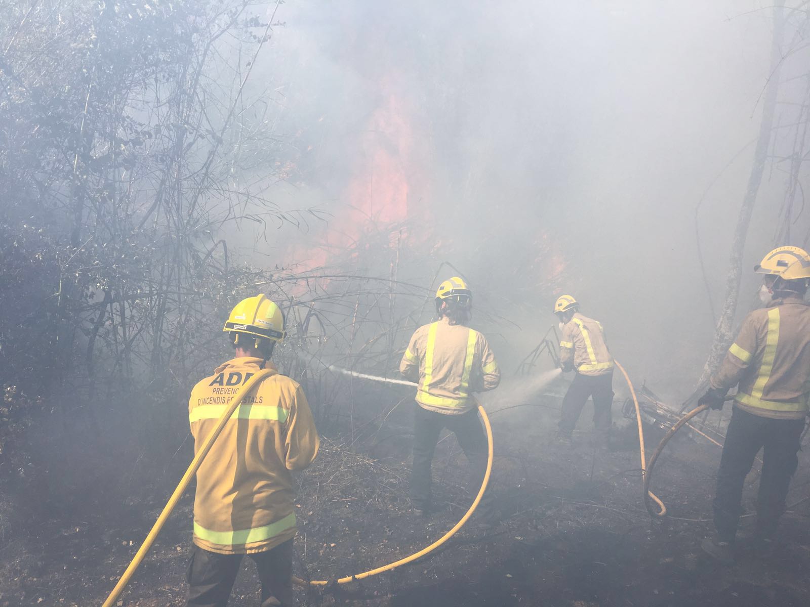 Voluntaris d'ADF fent tasques d'extinció en el foc d'aquest 2 de setembre FOTO: Cedida