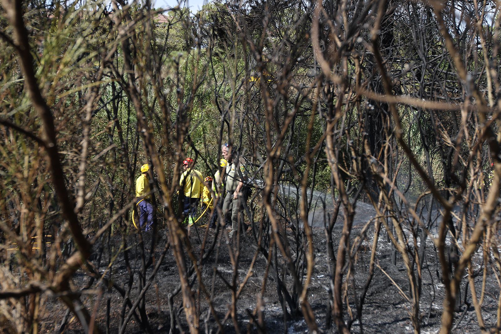 Incendi a Sant Cugat, Collserola, el passat 2 de setembre FOTO: Haidy Blanch