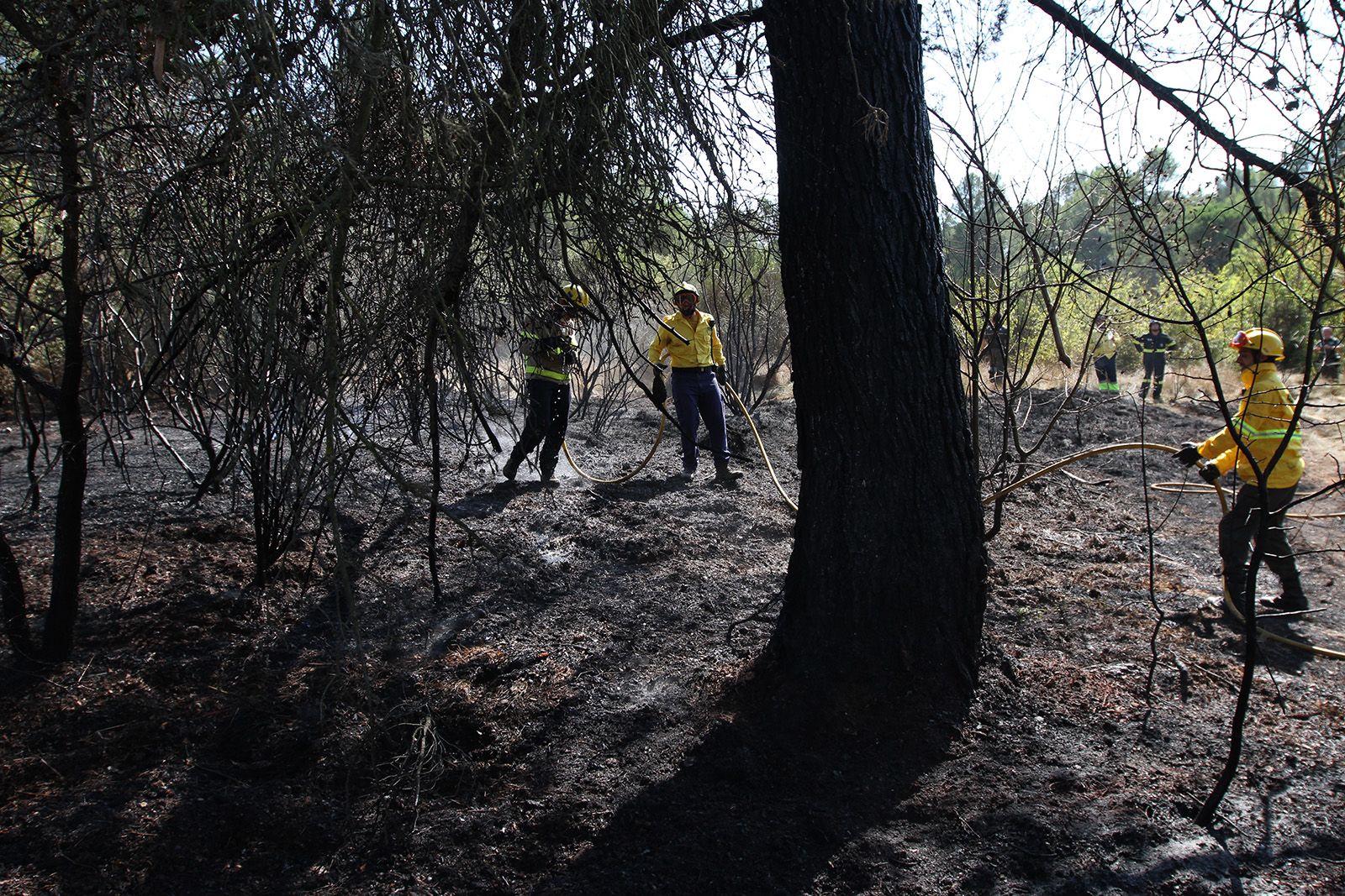 Incendi a Sant Cugat, Collserola durant el 2016 FOTO: Haidy Blanch