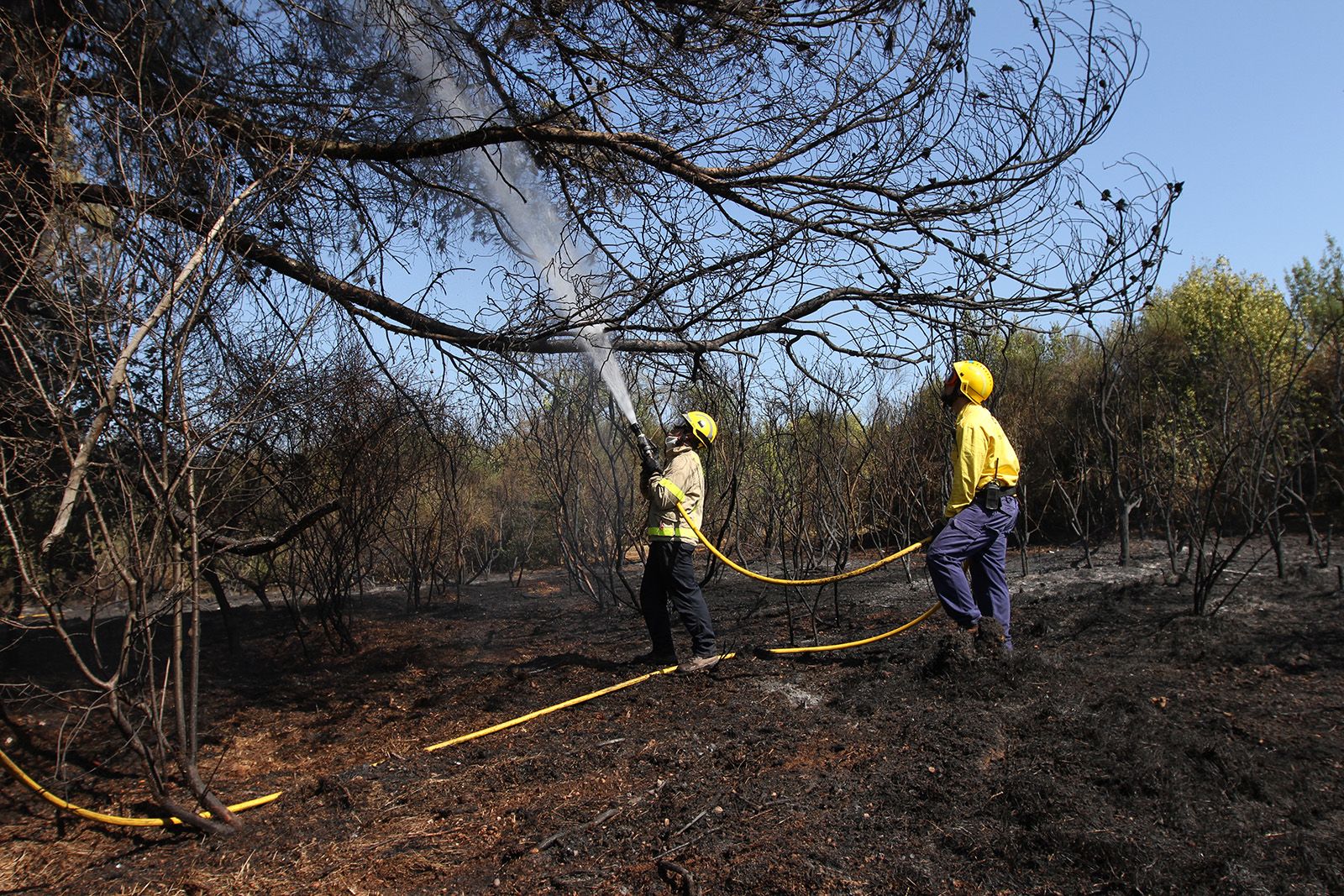 Imatge d'un incendi a Sant Cugat, Collserola FOTO: Haidy Blanch