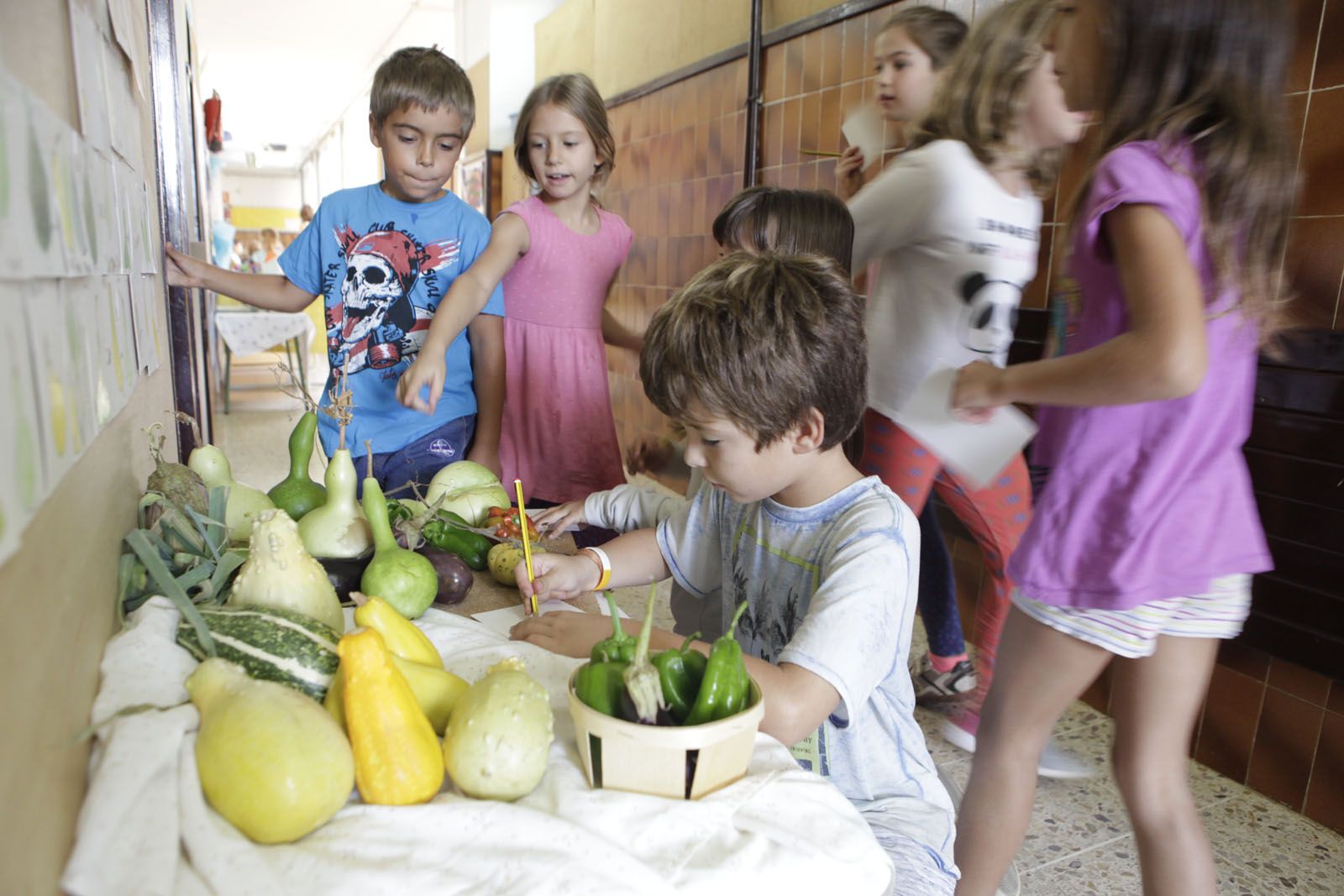 Fins a tercer de primària l'escola treballa per ambients FOTO: Artur Ribera