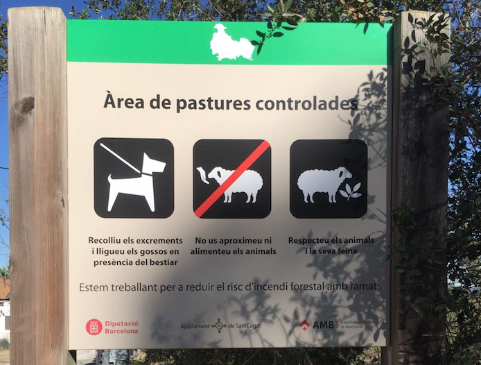 Senyalització que indica la presència de ramats a la zona, a Collserola FOTO: Parc Collserola