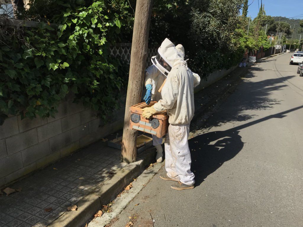 Apicultors de l'associació La Rural de Collserola enretirant l'eixam. FOTO: @EMDValldoreix