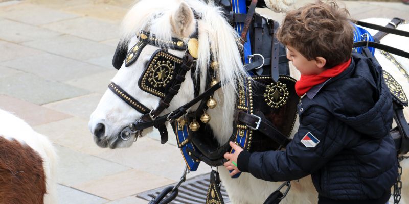 Sant Cugat Es Prepara Per A La Festa De Sant Antoni