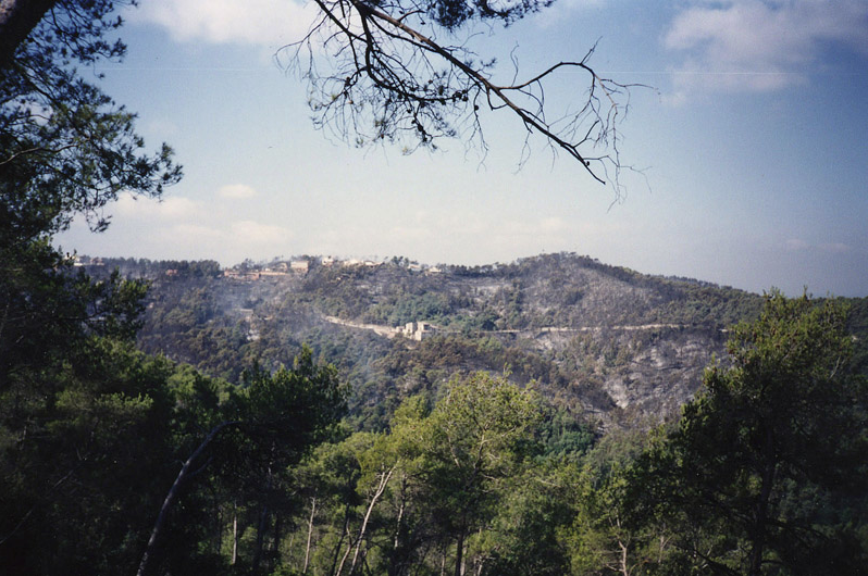 A les Planes la carena de muntanya on hi ha el camí de Can Codonyers va quedar socarrimada