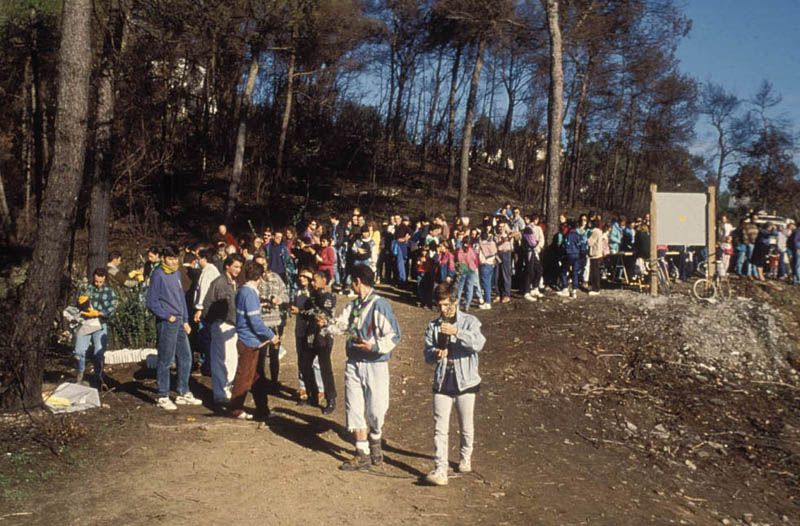 'Reforestem?, Es va fer una campanya per repoblar arbres