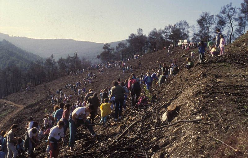 Centenars de persones van ajudar en les tasques de neteja i plantació d'arbres