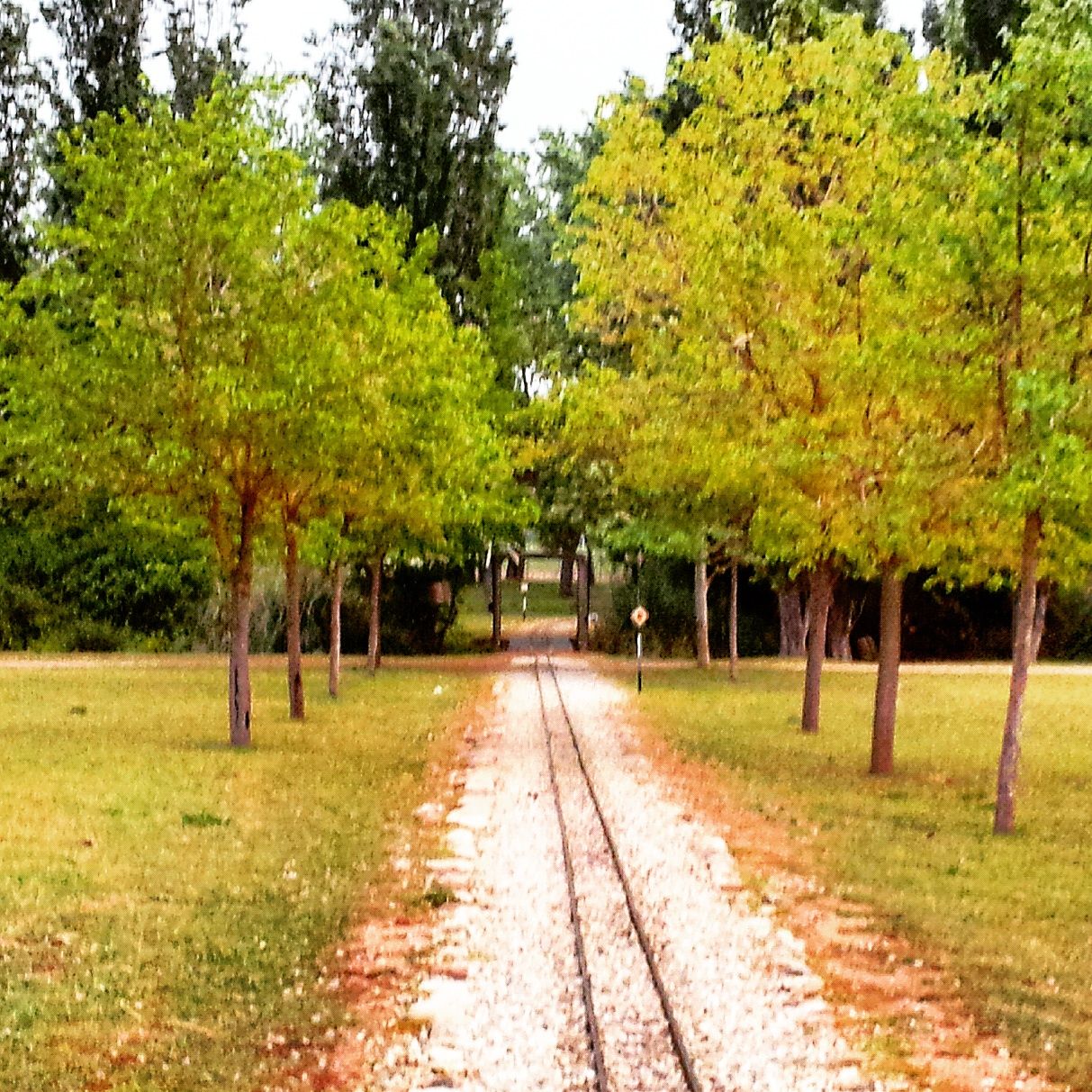 Caminante no hay camino