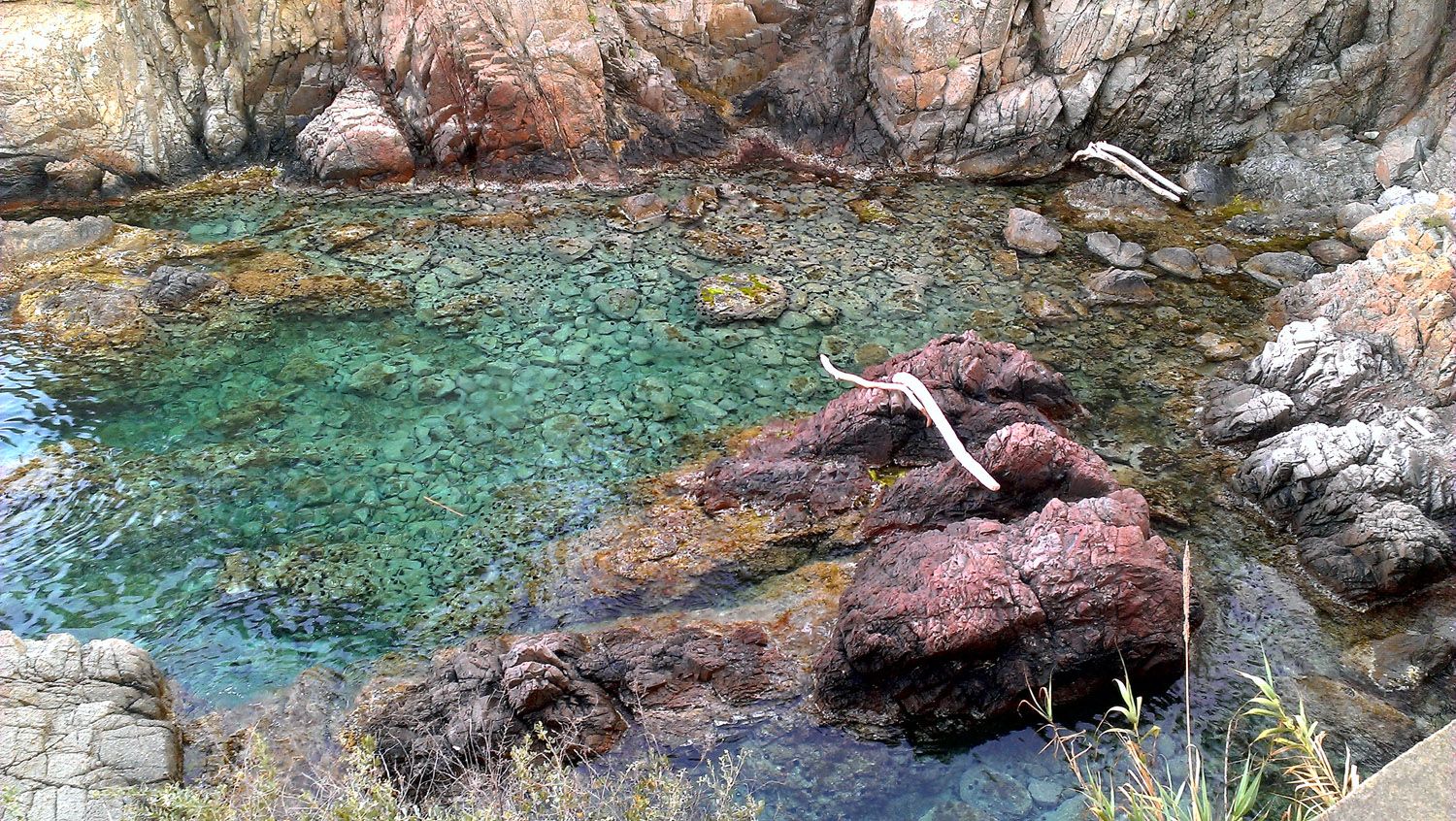 Cala Pedrosa