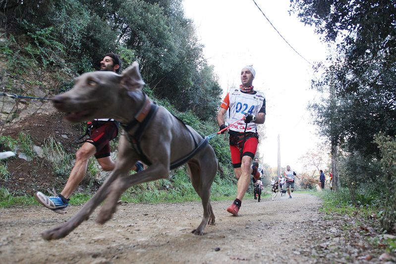   2n Canicross de les Planes. FOTOS: Lali Puig