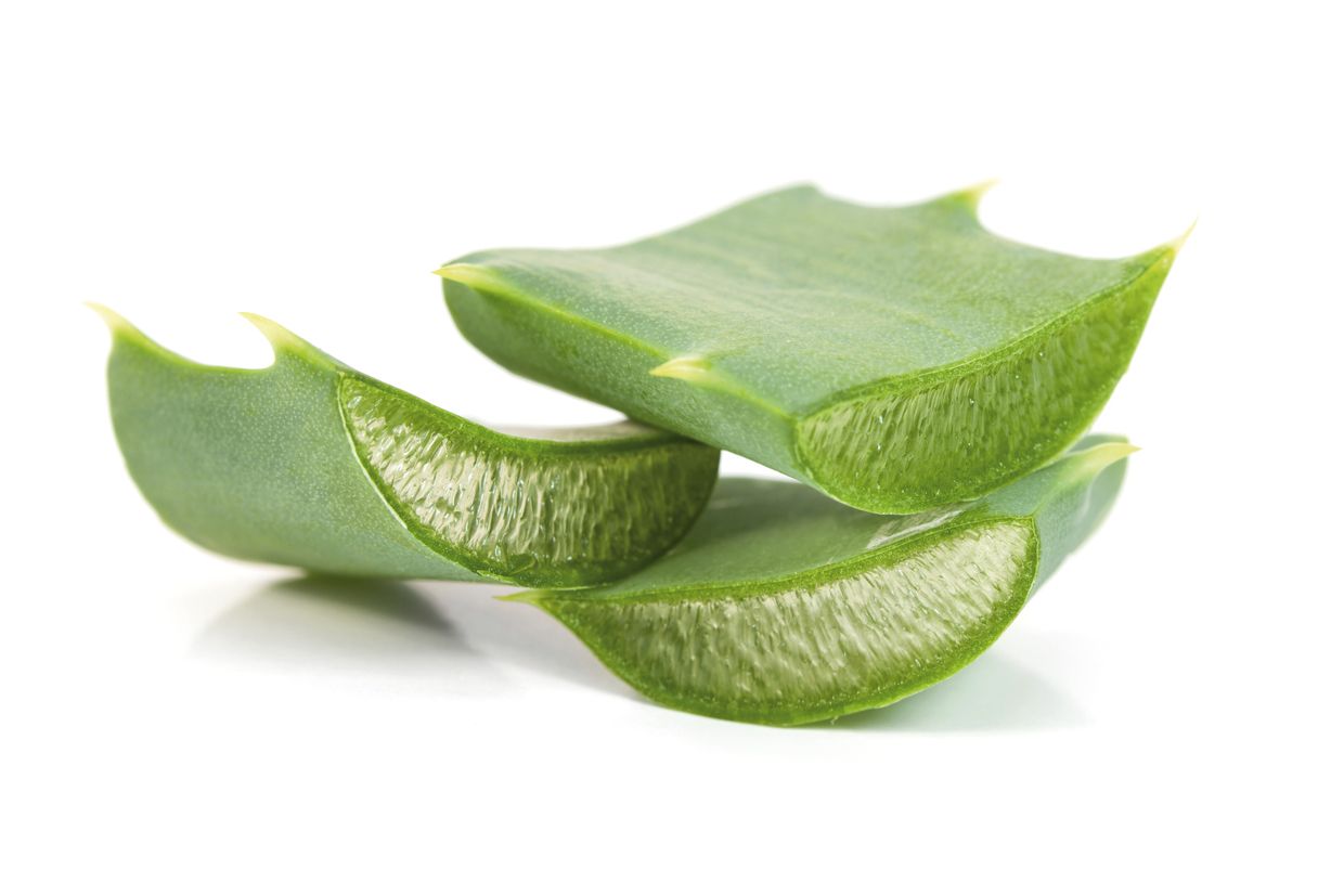 Aloe barbadensis leaf extract