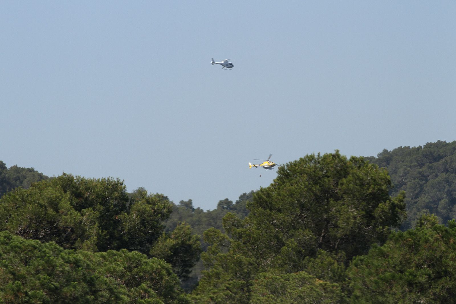 Els helicòpters treballant a la zona FOTO: Haidy Blanch 