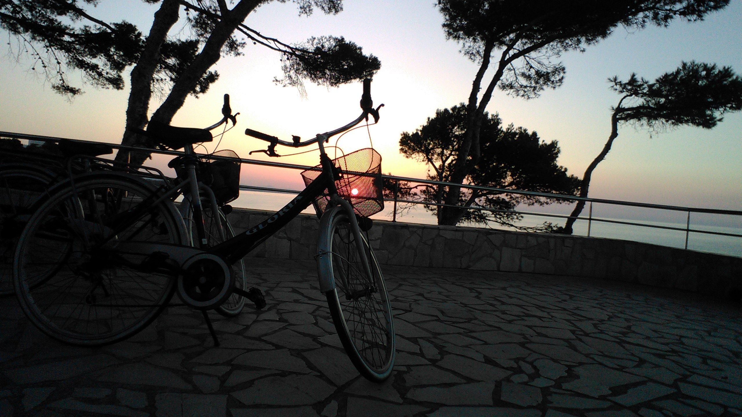 Teresa Romero Navarro. El sol amb bicicleta