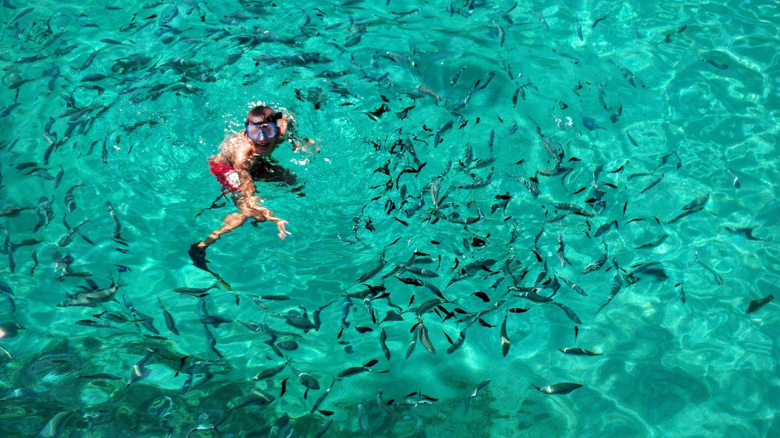 Carles Merino González - Envoltat de peixos a Menorca