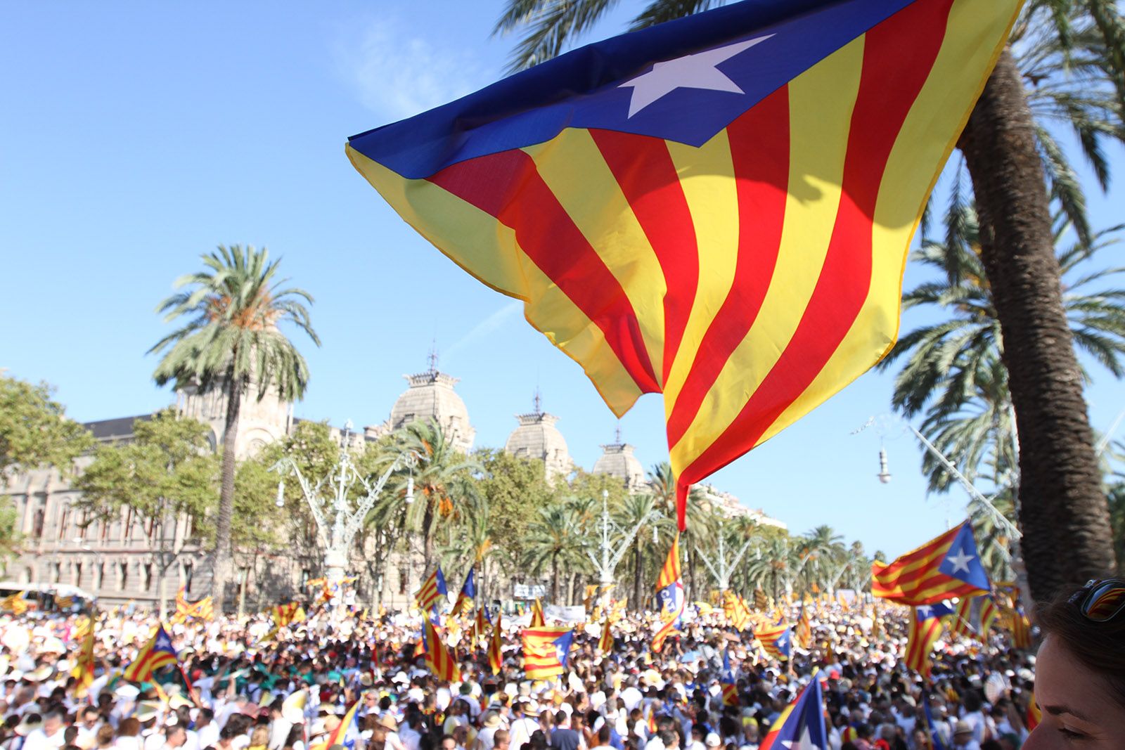 Manifestació de la diada de l'11 de setembre del 2016 FOTO: Haidy Blanch