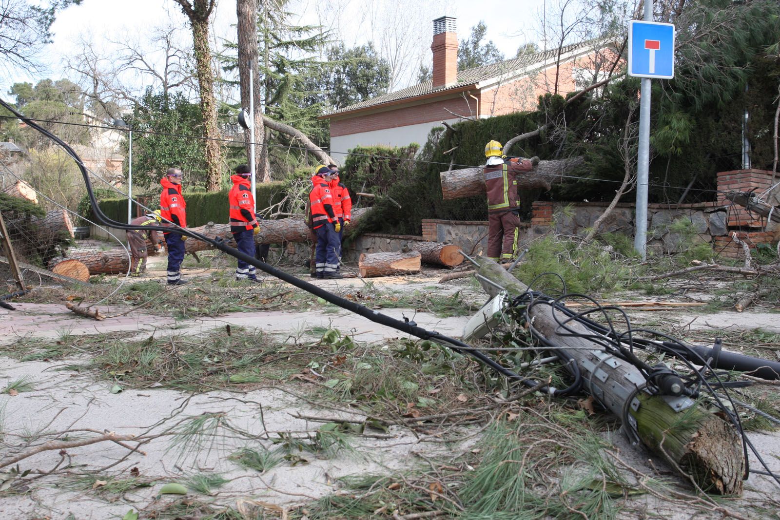 Bombers i protecció civil van estar ben entretinguts FOTO: Lluís Llebot