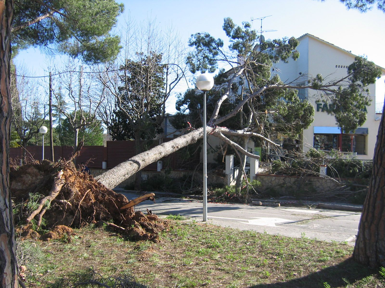 Destrossa a la farmàcia de Valldoreix FOTO: Josep Pagan