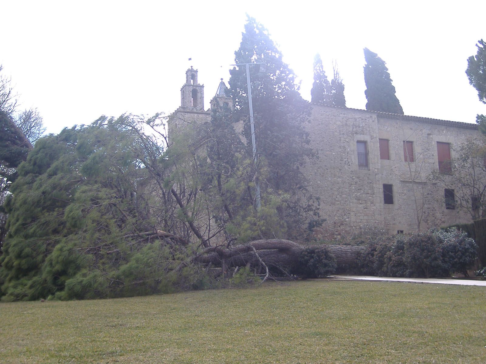 Jardins del Monestir FOTO: Joan Carles Garcia