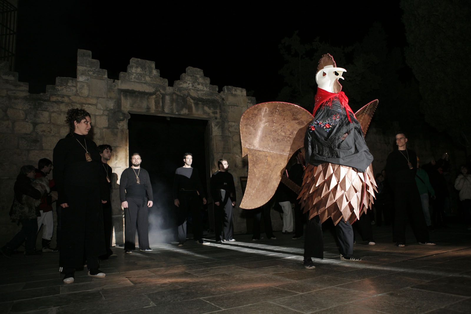 Baixada del Gall de Carnaval de 2014 FOTO: Artur Ribera