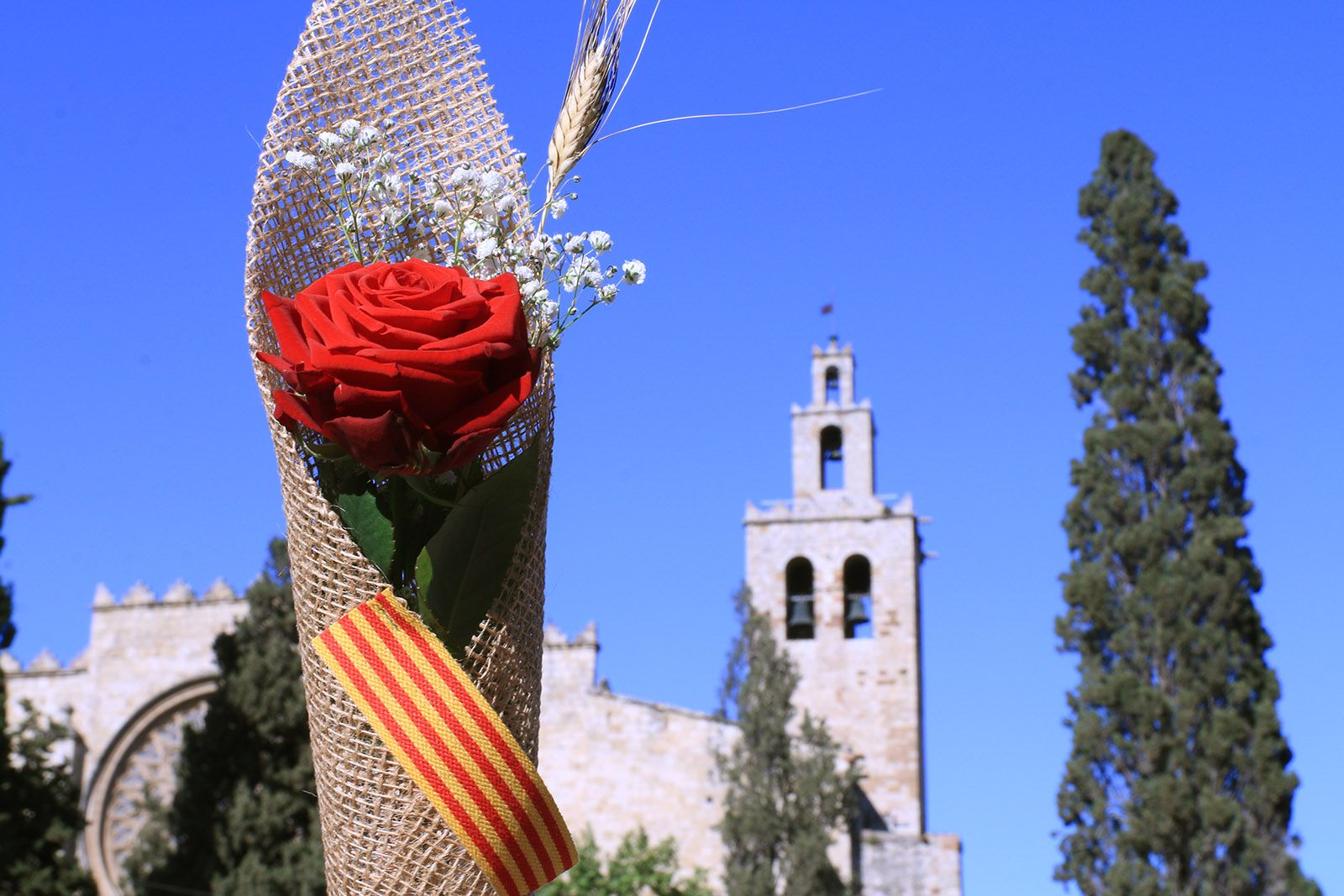 La diada de Sant Jordi es viu plenament a Sant Cugat Foto: Lali Álvarez