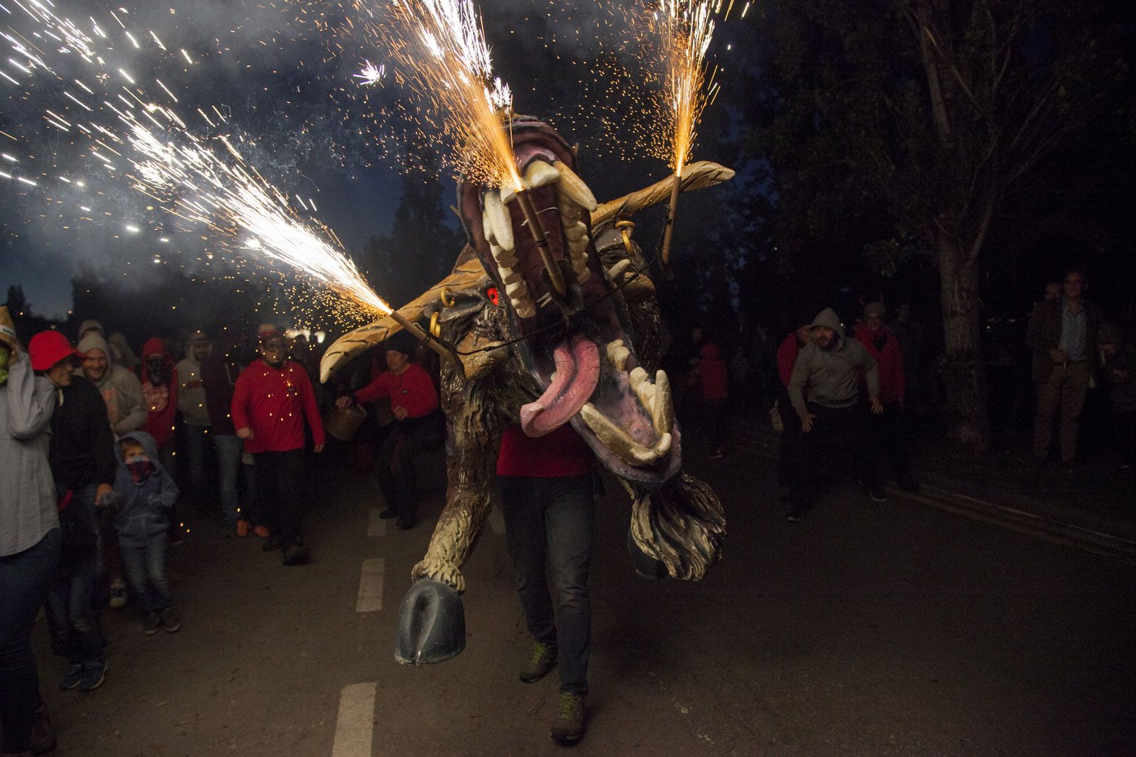   El correfoc de les bèsties. FOTOS: Lali Puig