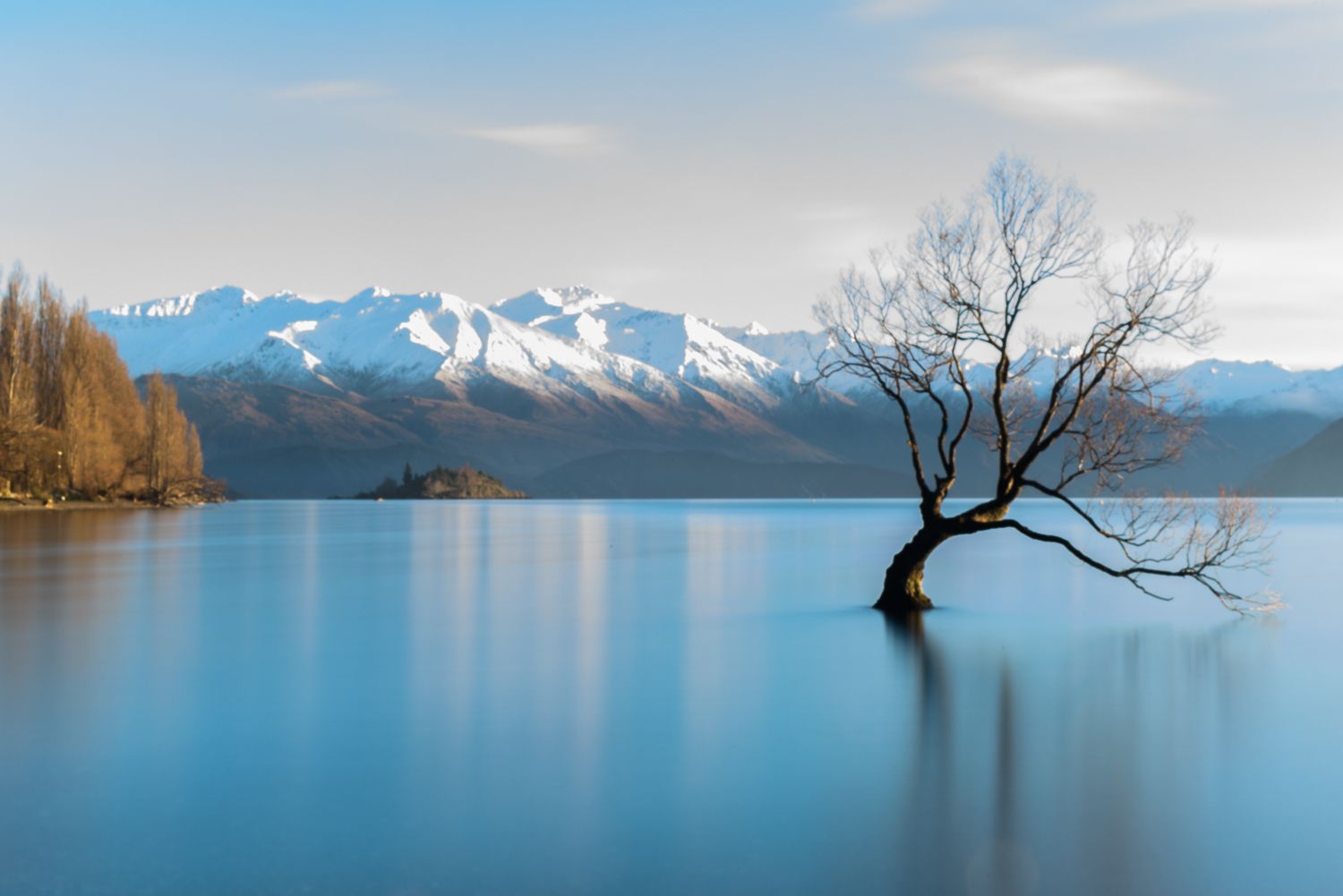 Eduard Cuevas Andrés "Wanaka tree" (Categoria Viatges)