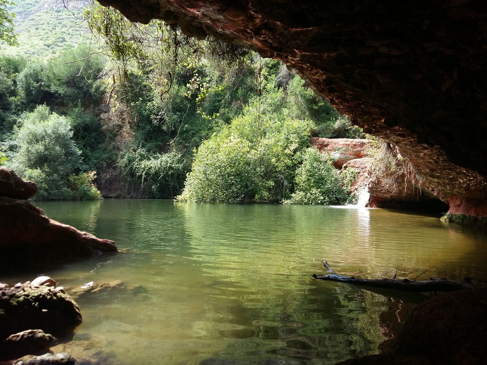 Maria Josep Serrat Dachs   "La cova...l'anfiteatre"