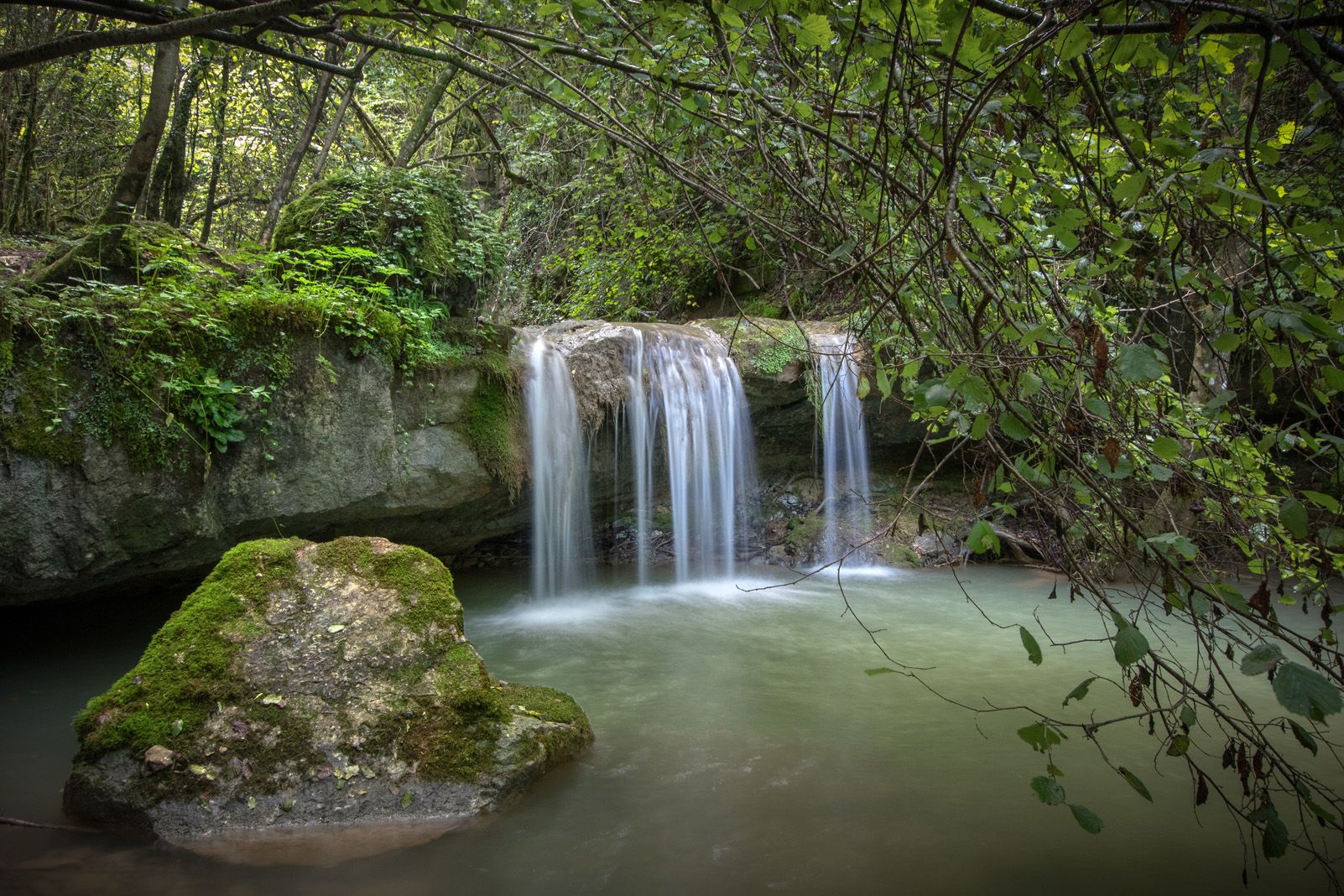 Miquel Pons Bassas "Piscina natural"