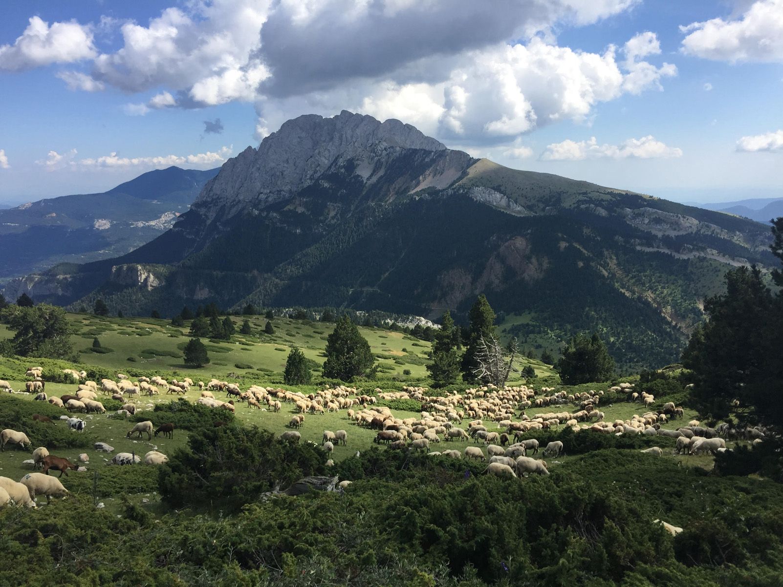 Xènia Llansó Bordes "La màgia del Pedraforca"