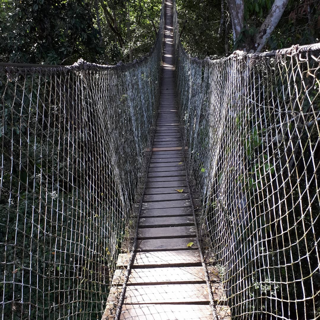 @darbertma  "Ponts que uneix-en"