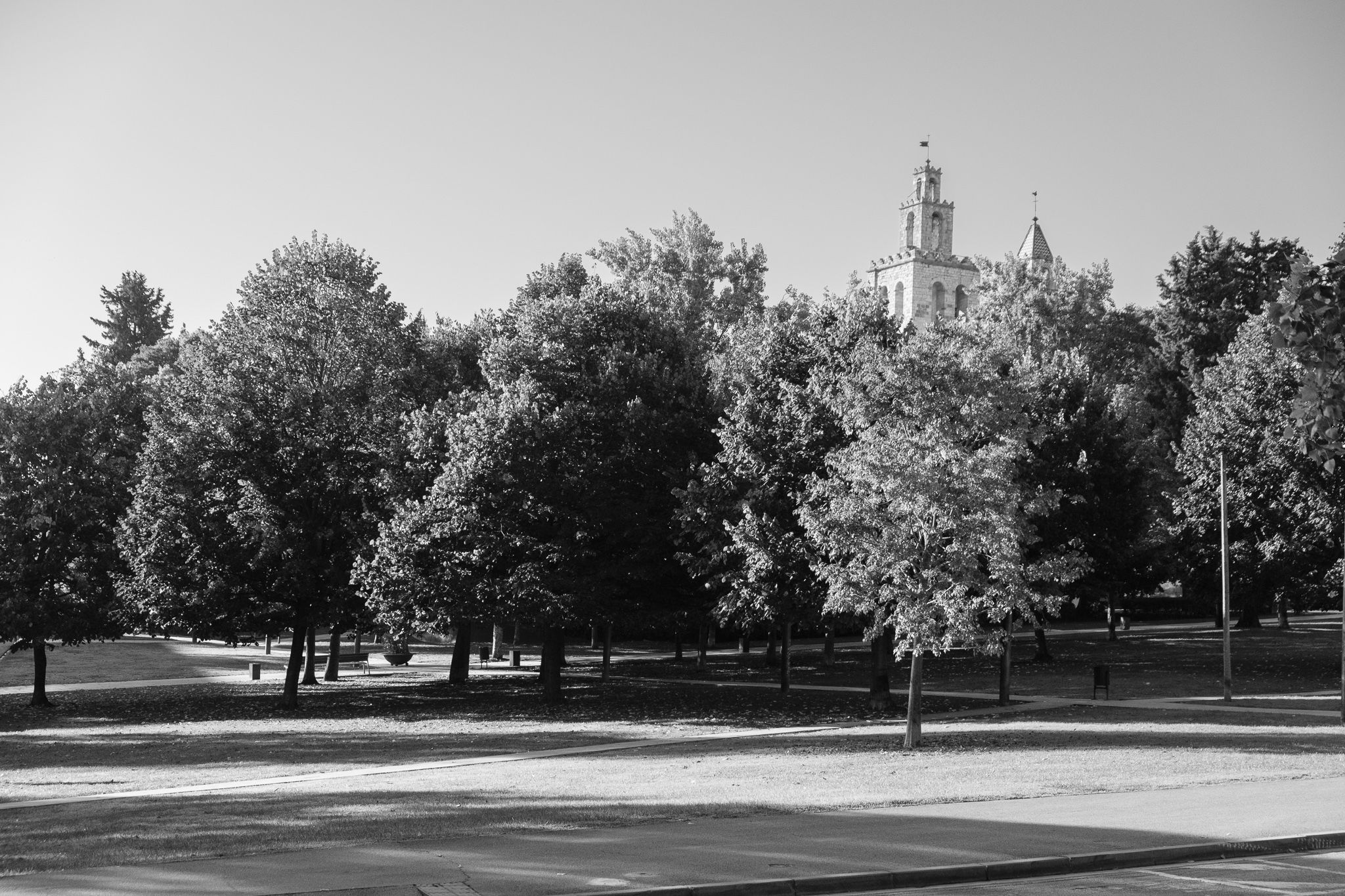 Fotografia dels jardins del monestir al matí. FOTO: Ale Gómez