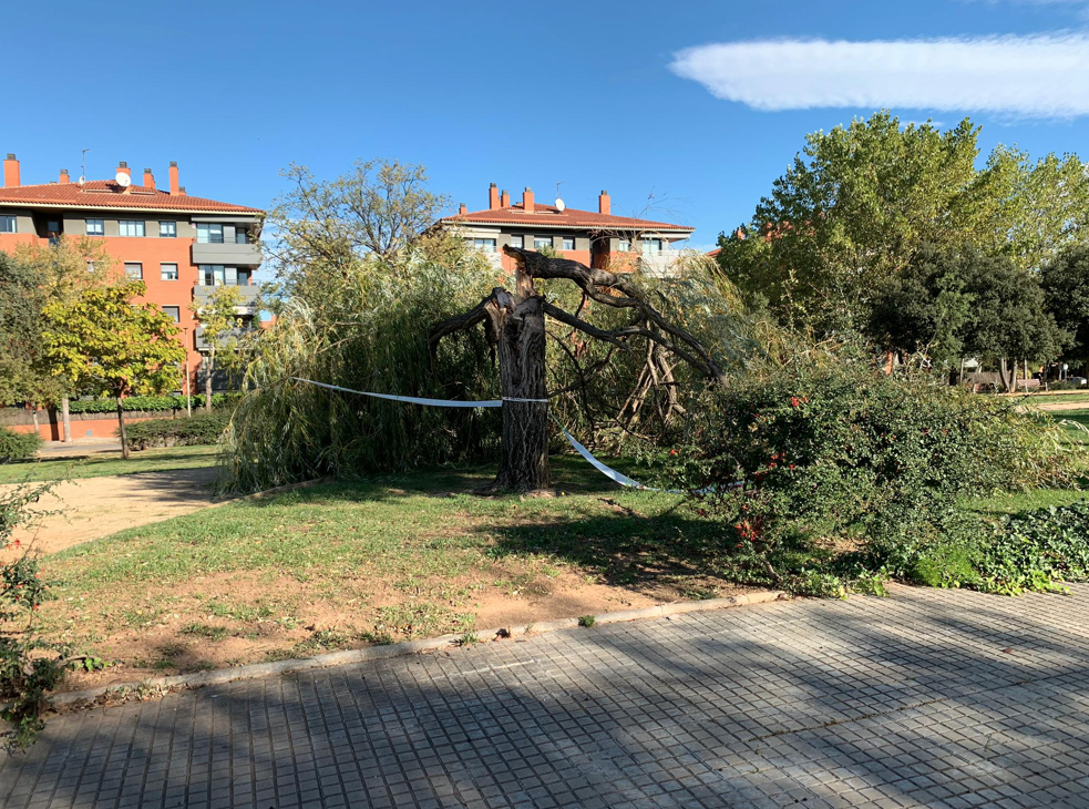 El Fort Vent Que Bufa A Sant Cugat Provoca Diferents Incidencies