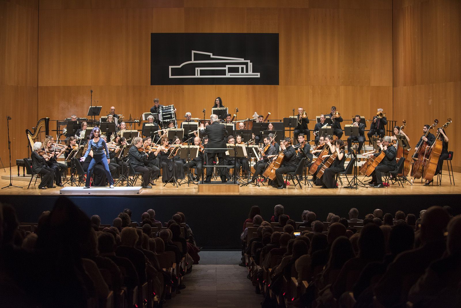 Concert de Valsos i Danses de l'Orquestra Simfònica Sant Cugat. FOTO: Bernat Millet.