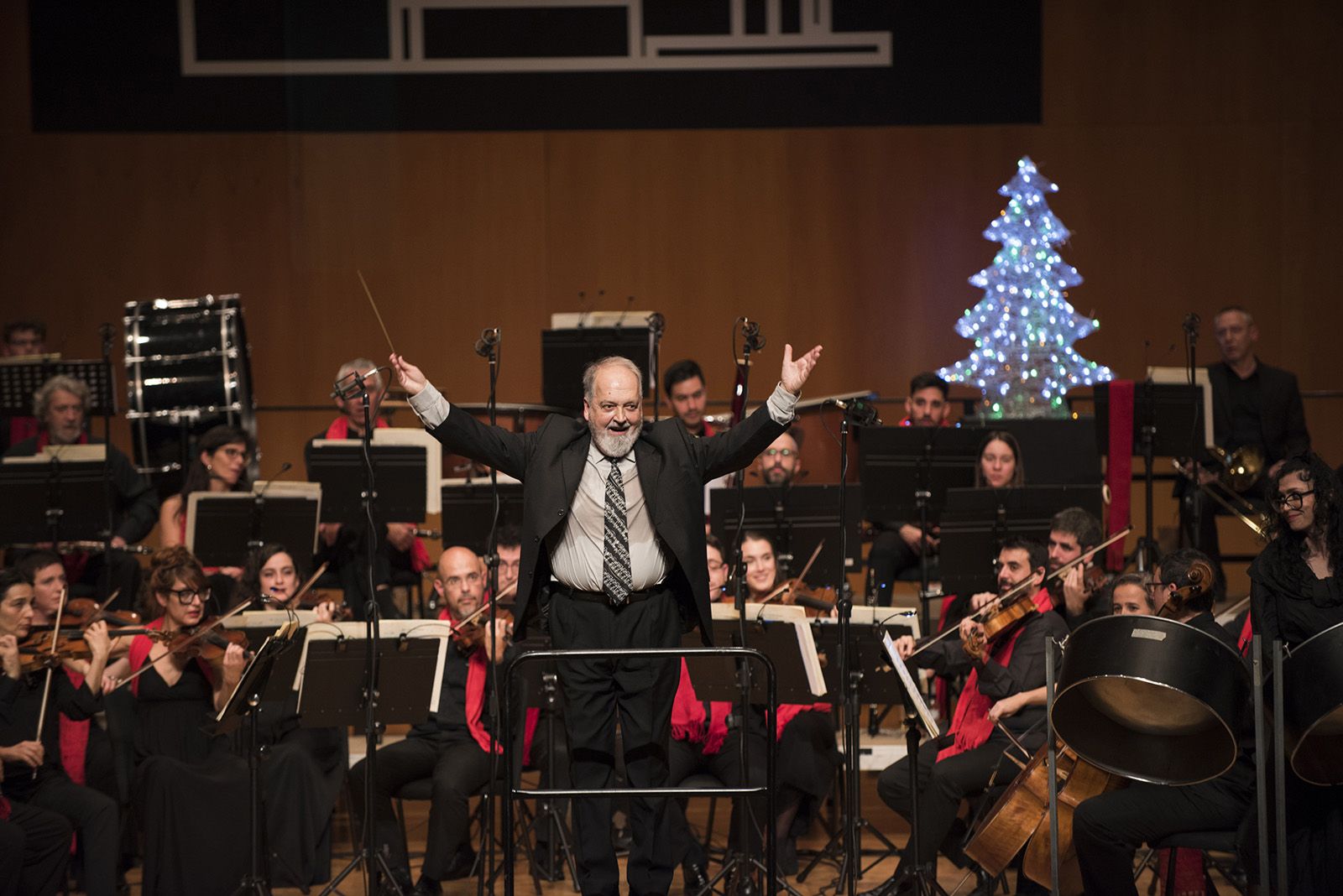 Concert de Valsos i Danses de l'Orquestra Simfònica Sant Cugat. FOTO: Bernat Millet.