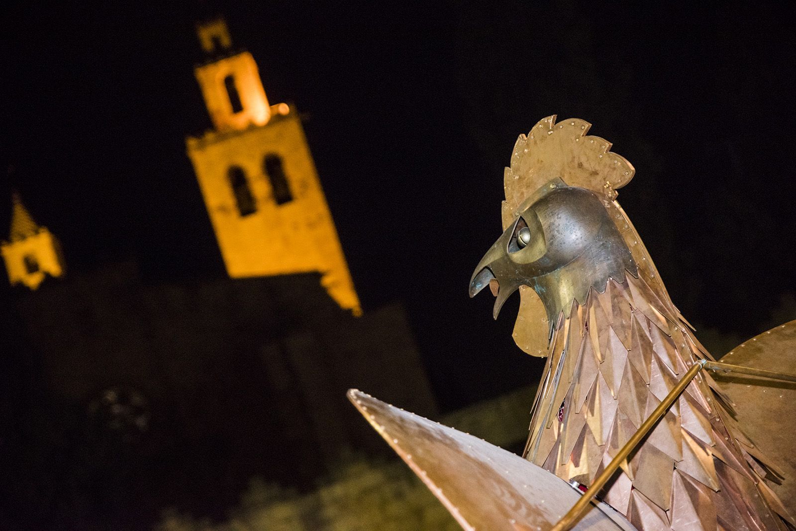 Enterrament de la sardina i fi del Carnaval. Foto: Bernat Millet.