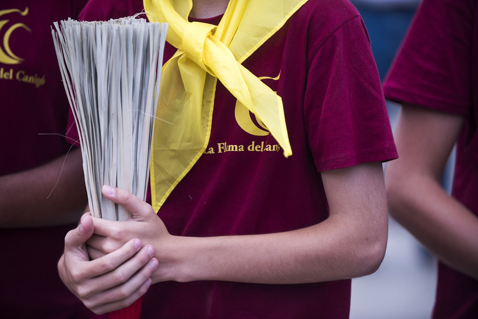 La Flama del Canigó. FOTO: Bernat Millet.