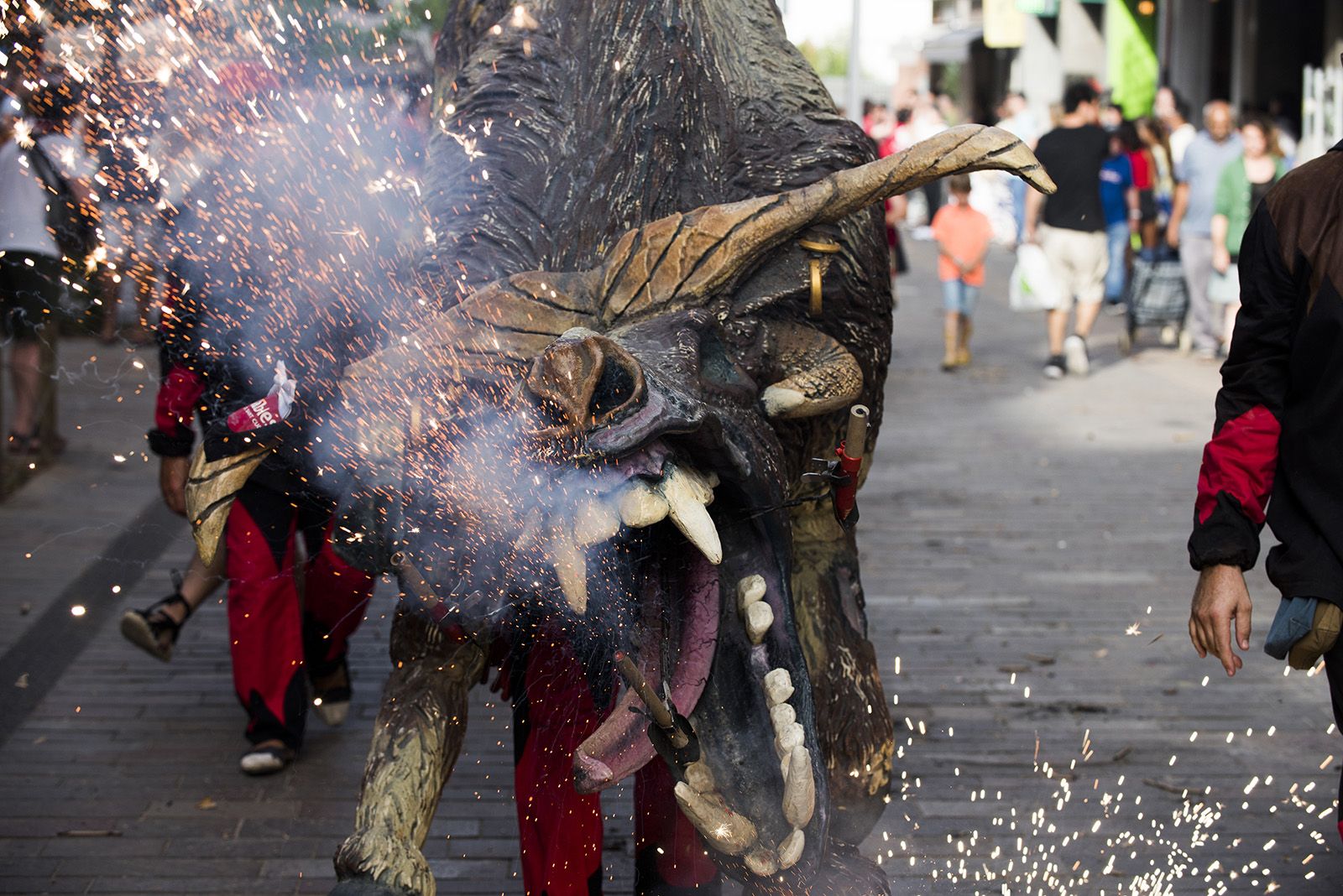 Els Diables al seguici de la Festa Major de 2024 FOTO: Bernat Millet