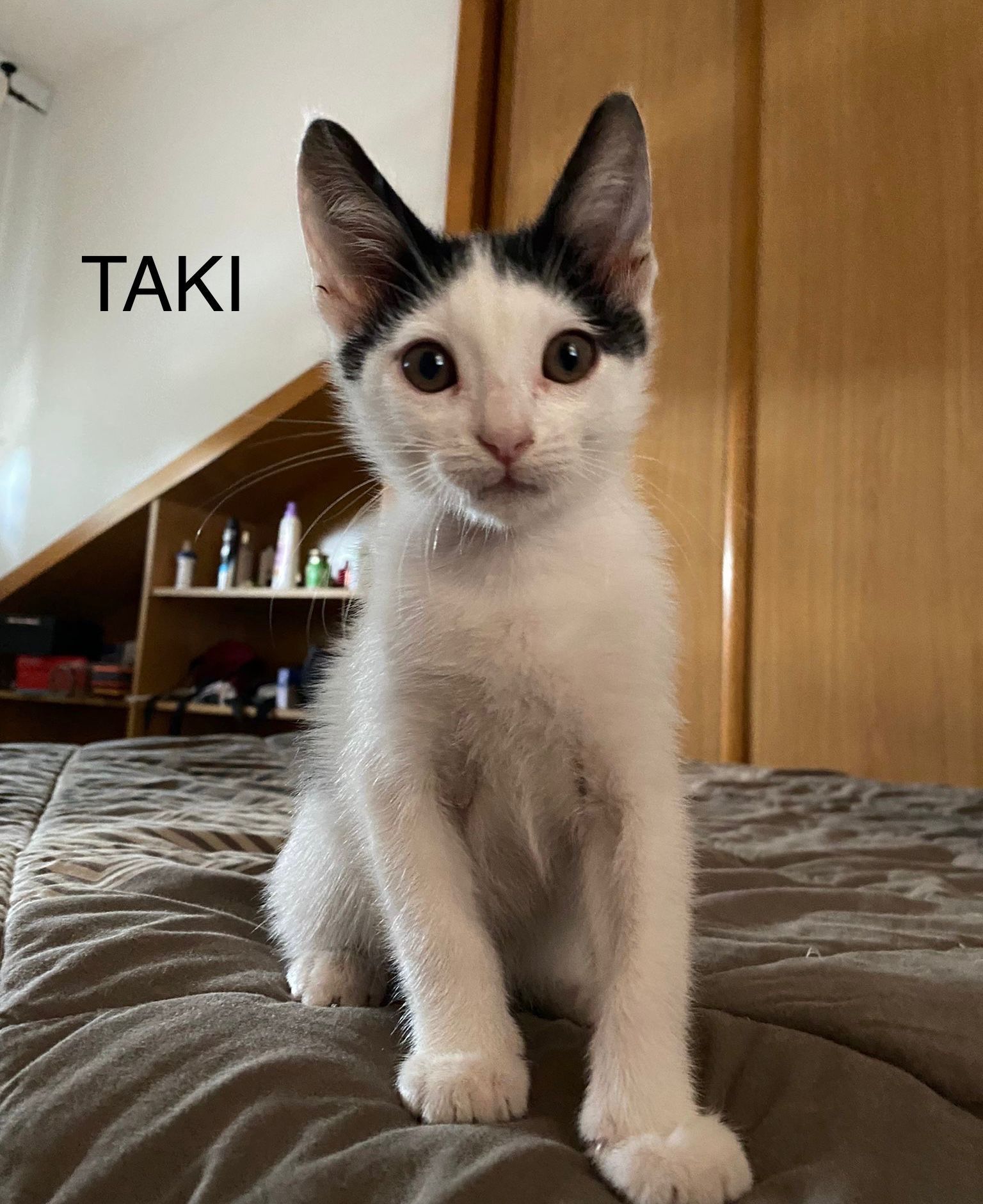 taki