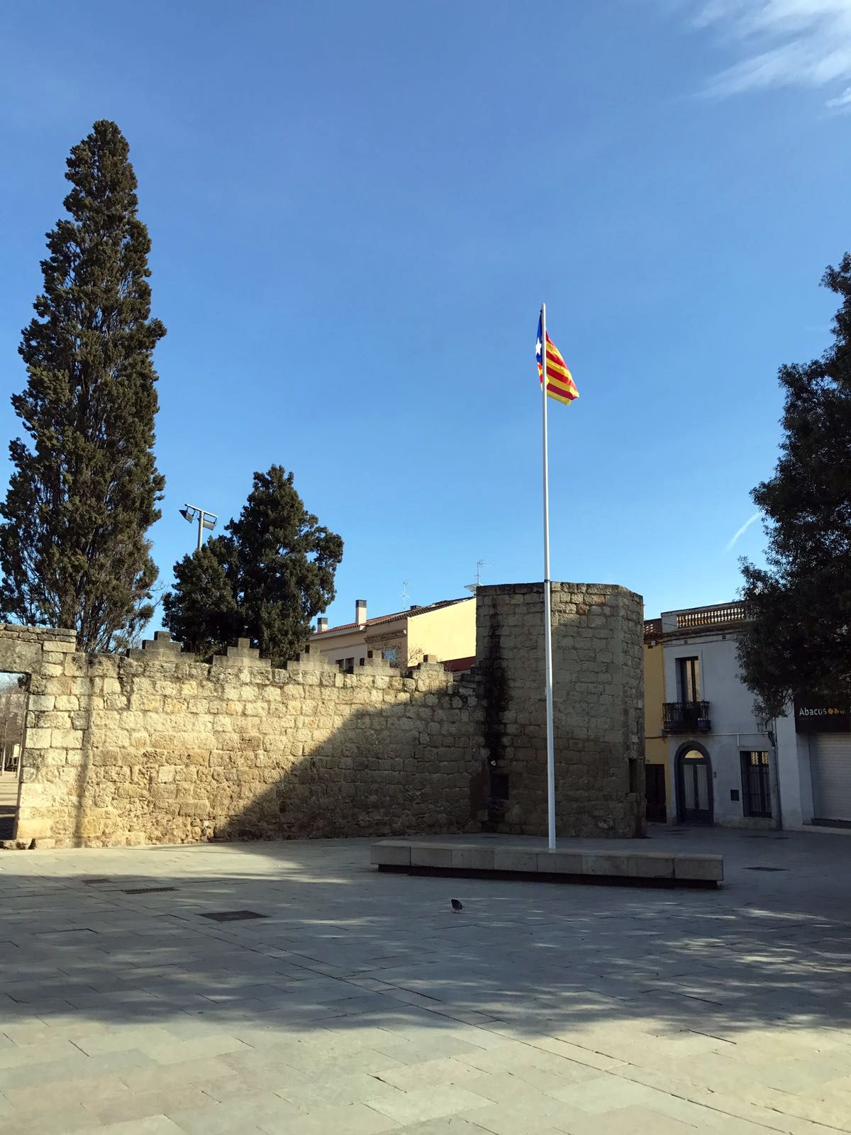 paviment plaça octavia