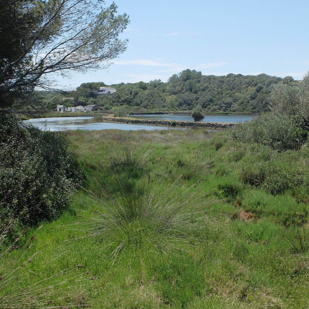 S'Albufera d'Es Grau FOTO: @feclavell