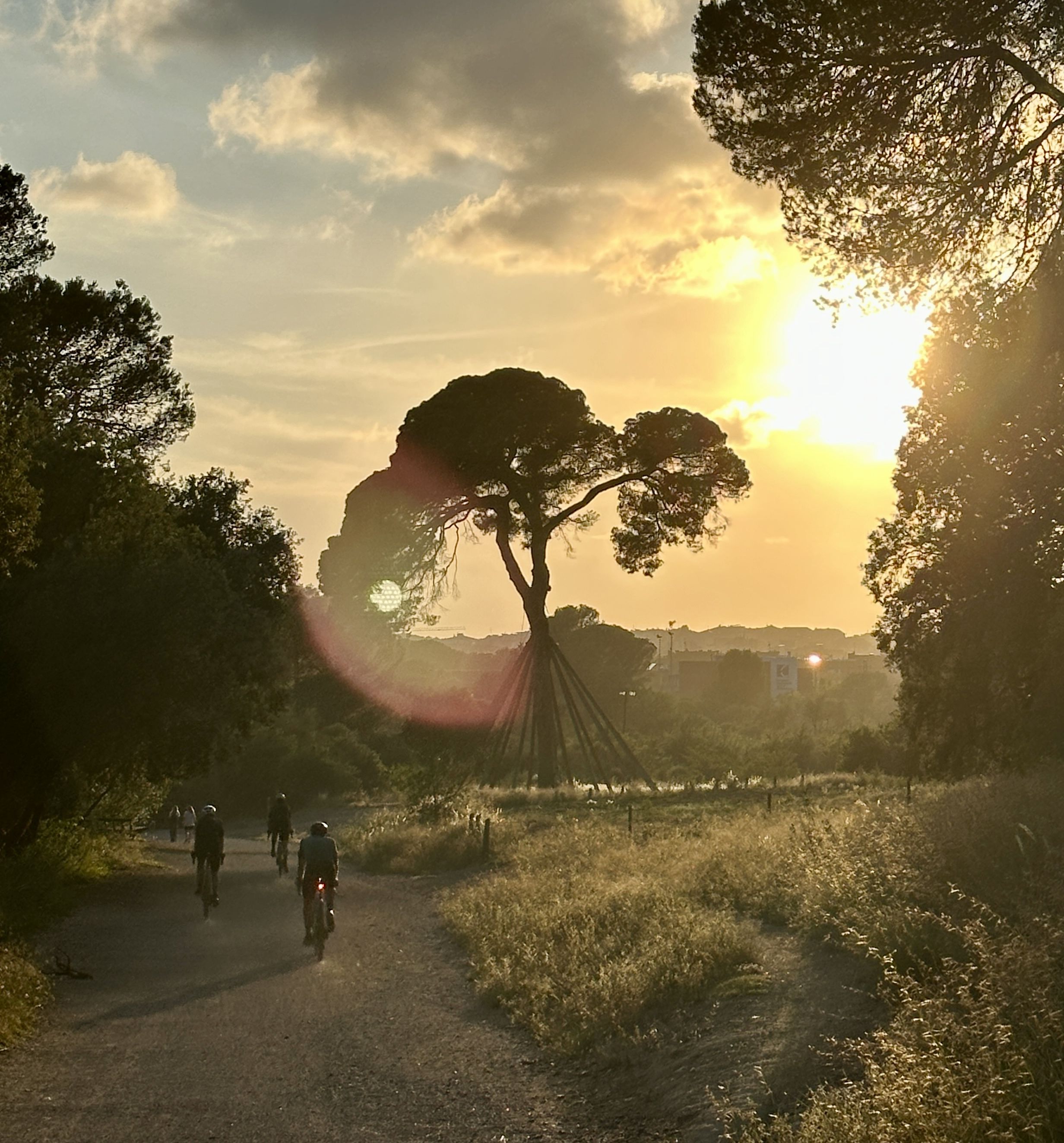 Going home  FOTO Nerea Gorriti Aranguren