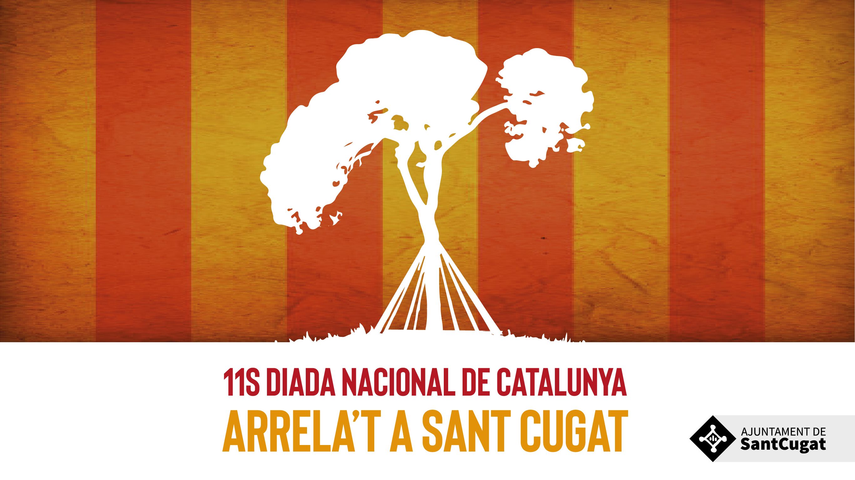 Imatge del programa de la Diada Nacional de Catalunya a Sant Cugat FOTO: Ajuntament