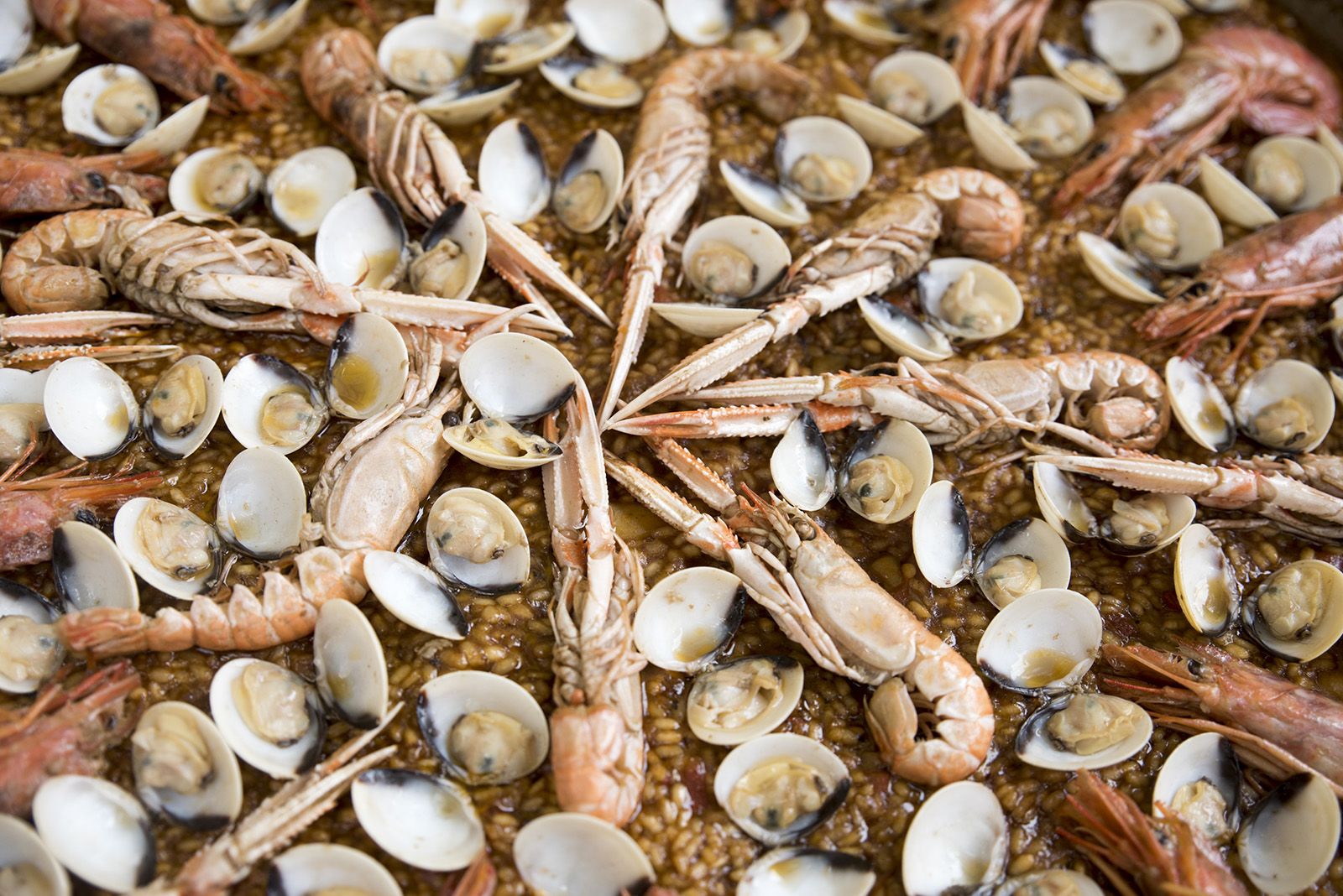 Paellada popular de la Festa Major de Les Planes. FOTO: Bernat Millet.